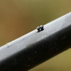 Lood Micro Shot - Guru 6 Lood Micro Shot - Guru -Goedkope Hengels winkel 1266185756